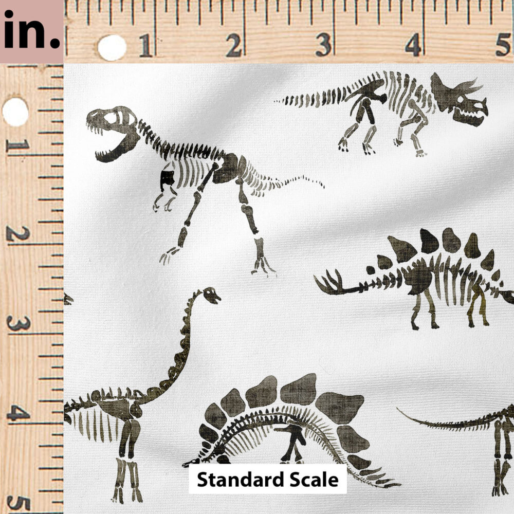 Ruler Scale for Dinosaur Fossil Skeletons by Hip Kid Designs