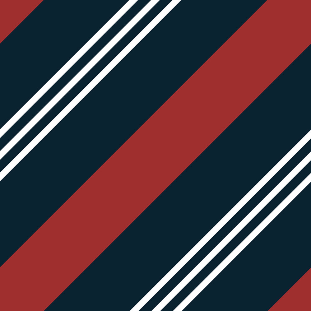 Candy Cane Stripe (Red/ Navy) | Stripes and Shapes