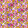 Groovy Sunny Floral (Pink) | Botanical Fabric Design | Krystal Winn Design