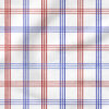 Plaid (Multi) | 4th of July