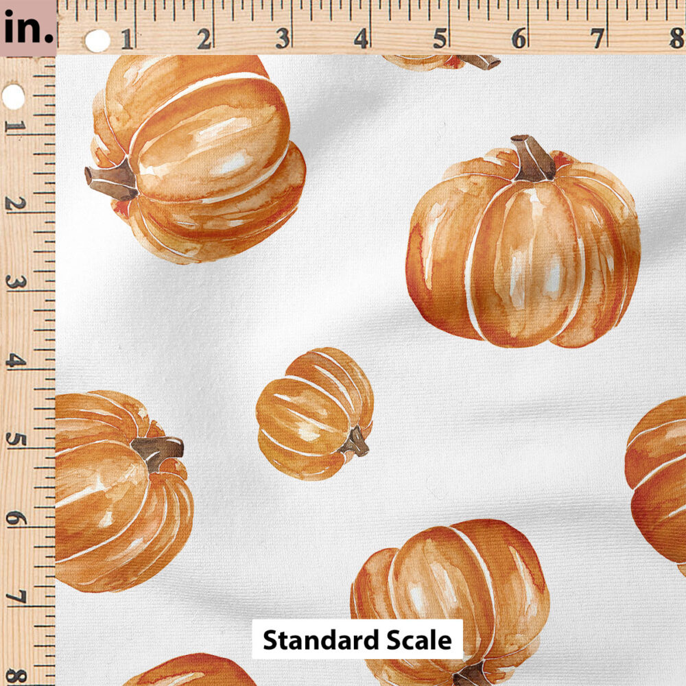 Ruler Scale for Pumpkins (White) by Cate and Rainn