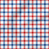 Patriotic Gingham (Red White Blue) | Holiday