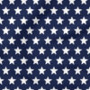 Patriotic Stars Rows (Blue) | Holiday