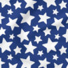 Patriotic Stars Scattered (Blue) | Holiday