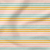 Claire Bright Stripe Multicolor | Seasonal