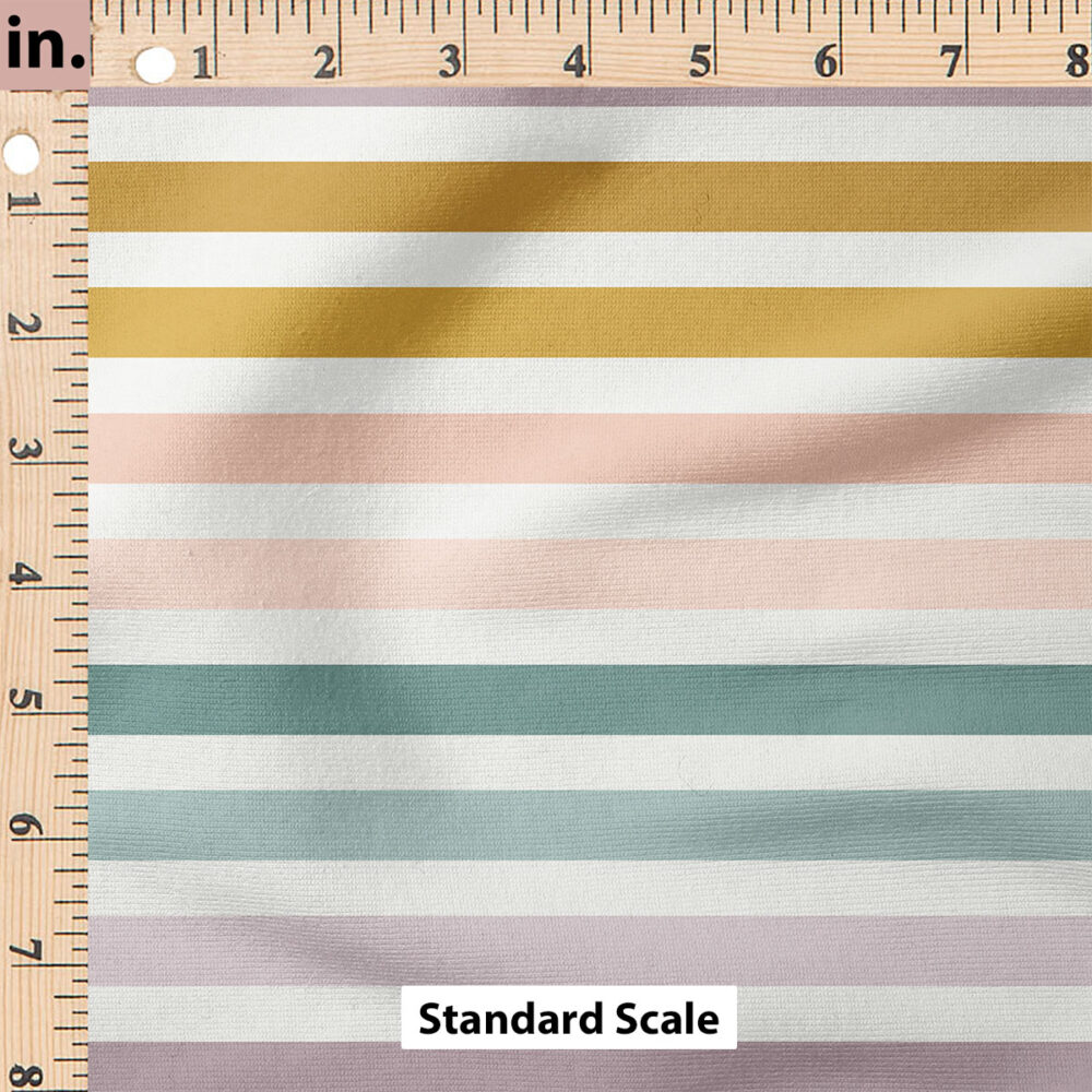 Ruler Scale for Jewel Tone Stripe (Multi) by Cate and Rainn