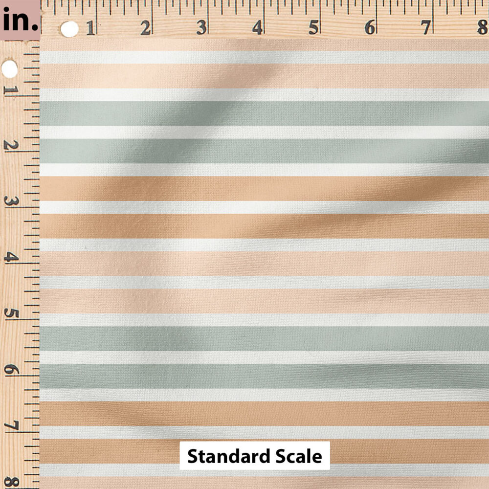 Ruler Scale for Stripes (Pink Blue) by Cate and Rainn