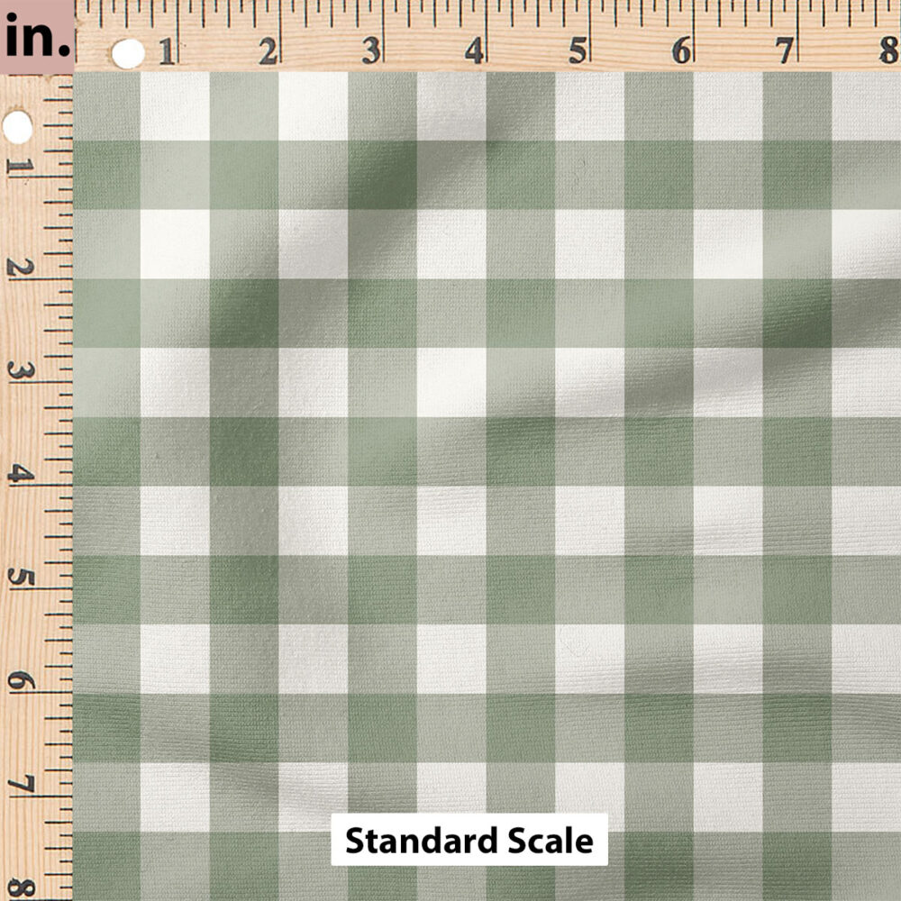 Ruler Scale for Spring Reverie Gingham (Green) by Cate and Rainn