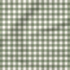 Spring Reverie Gingham (Green) | Stripes and Shapes Fabric Design | Cate and Rainn