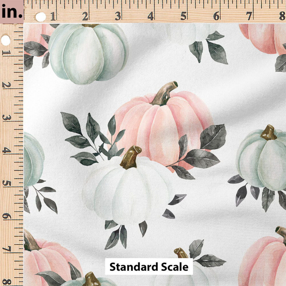 Ruler Scale for Pumpkins (Pink Blue) by Cate and Rainn