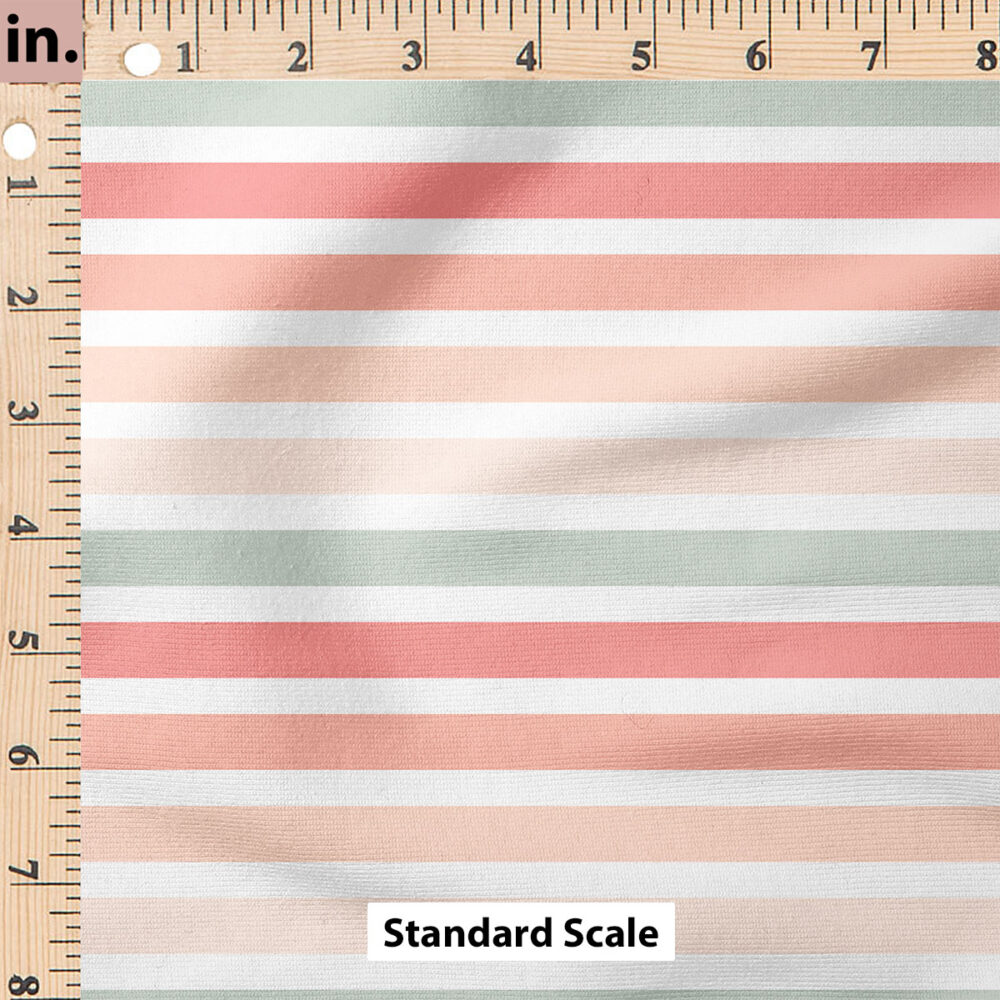 Ruler Scale for Stripes (Pink Blue) by Cate and Rainn