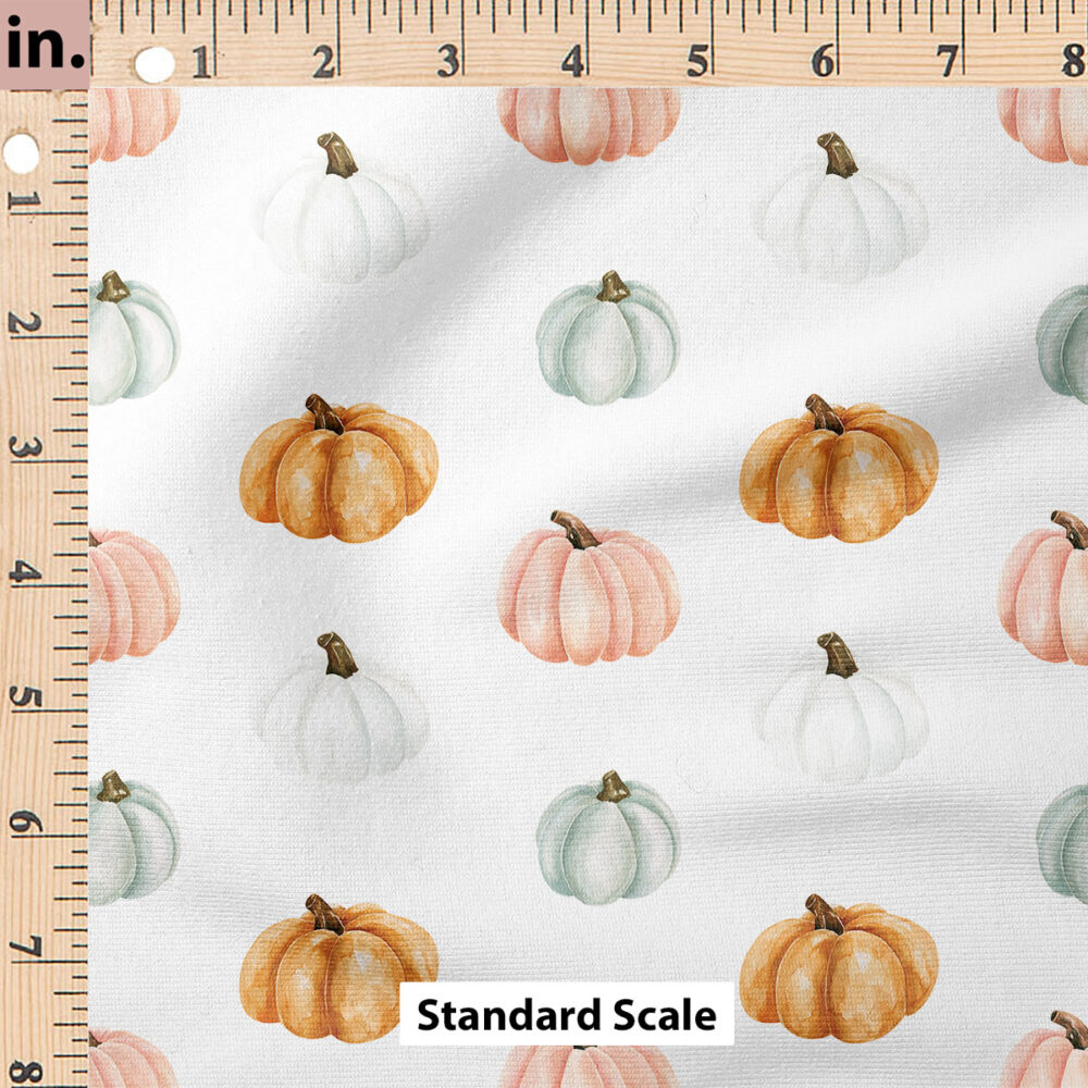 Ruler Scale for Colorful Pumpkins (White) by Cate and Rainn