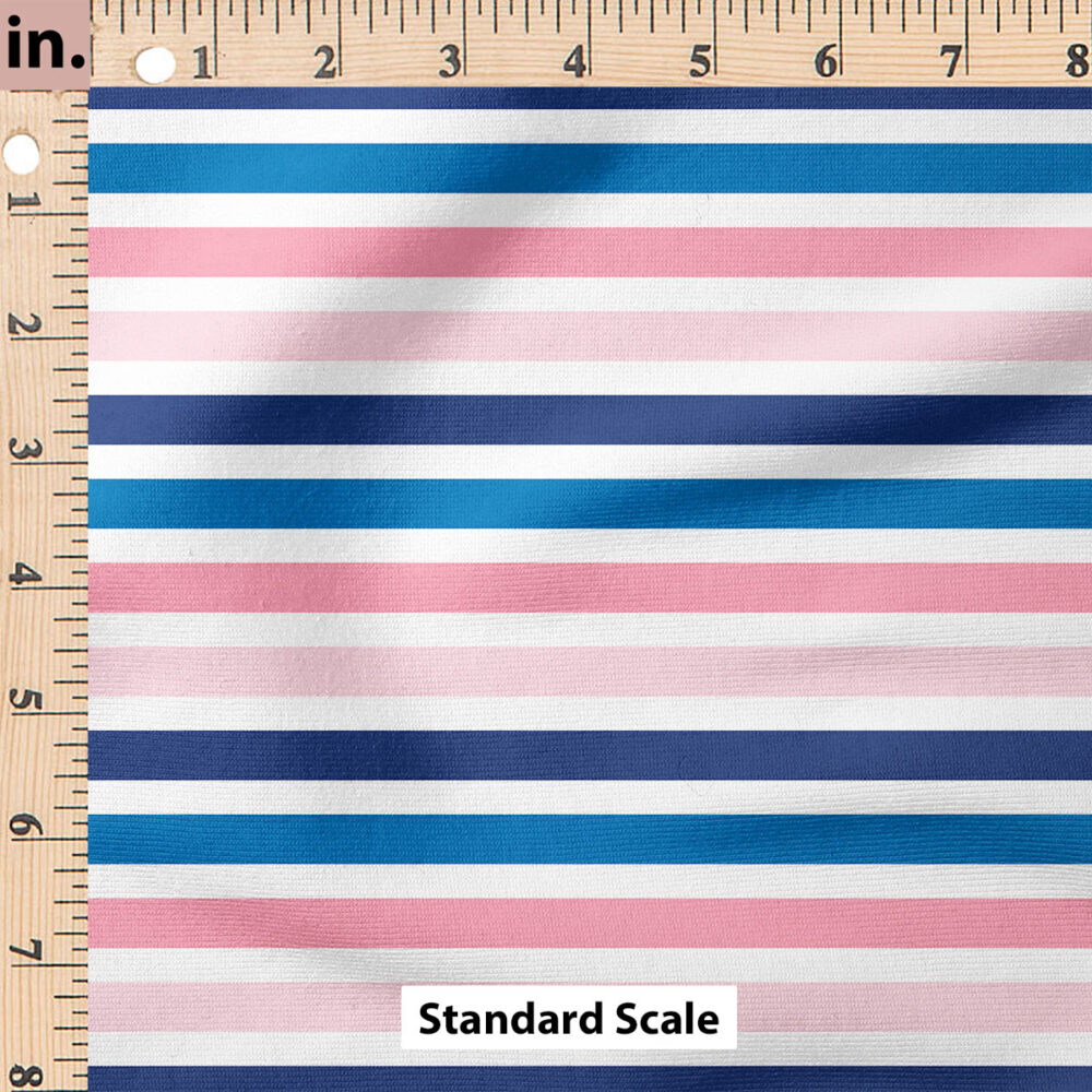 Ruler Scale for Stripe (Blue Pink) by Cate and Rainn