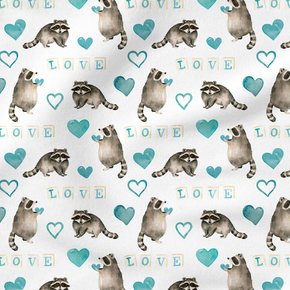 Valentines Raccoon (Blue White) | Children