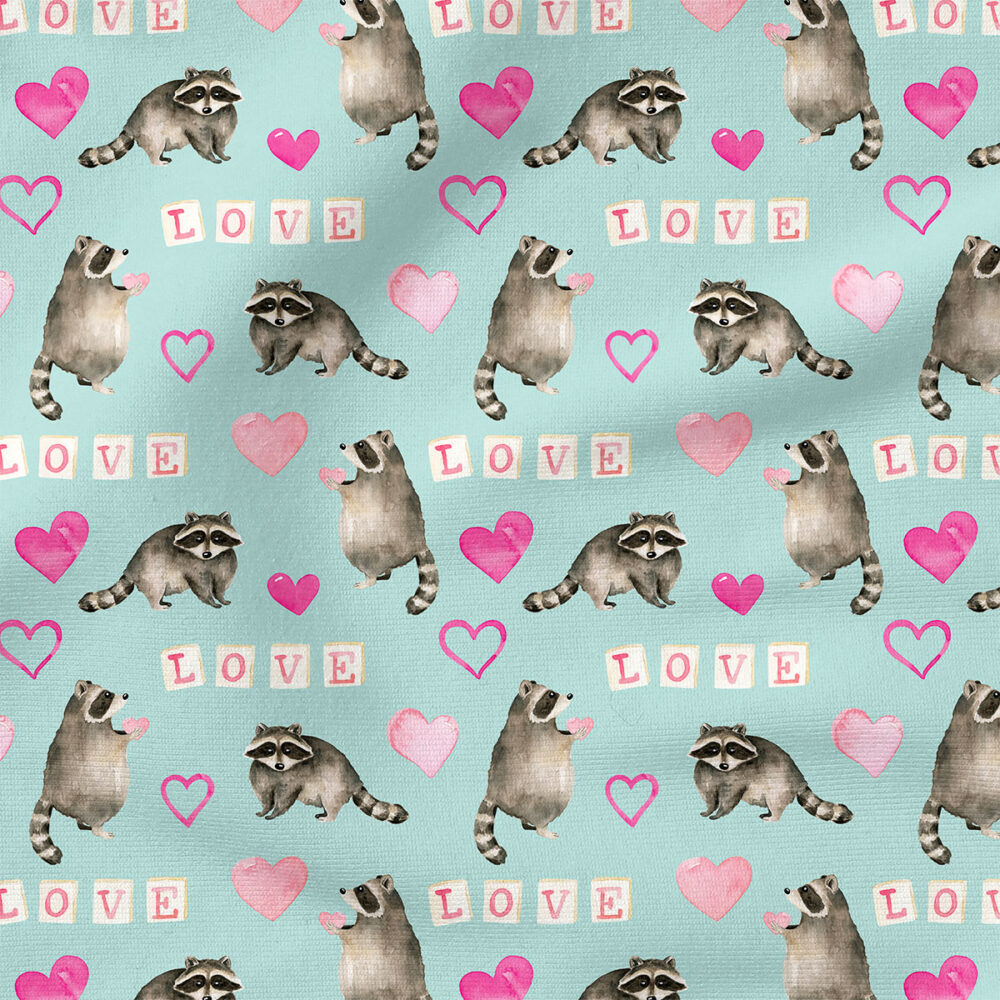 Valentines Raccoon (Pink Blue) | Children