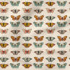 Butterfly (Bright) | Autumn Fabric Design | Juniper Row Design